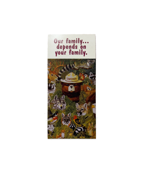 Smokey The Bear Information Pamphlet