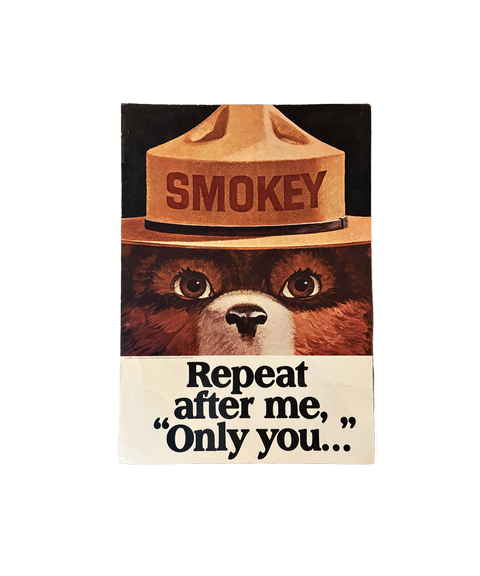 Smokey The Bear Poster: Repeat after me, "Only you..."